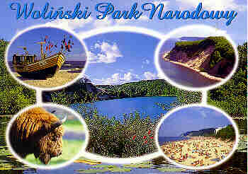 Postkarte: verschiedene Ansichten des Nationalparks
